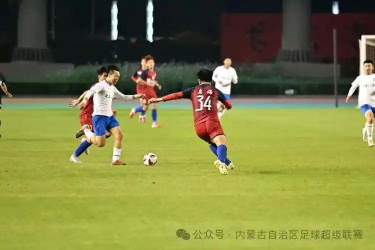 雨燕免费直播在线观看